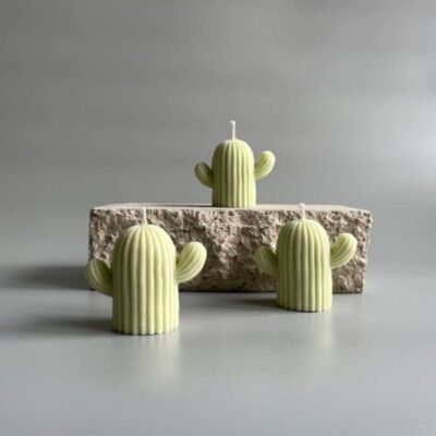 Cactus Mold قالب صبار للشموع