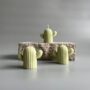 Cactus Mold قالب صبار للشموع